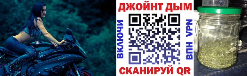 Конопля гибрид  Кологрив 